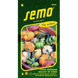 Galaxy of Stars F1 Cucurbita pepo Tekvica okrasná ..