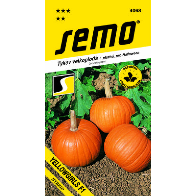 Yellowgirls F1 tekvica pre Halloween a varenie 3g