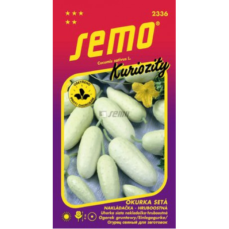 White Wonder F1 Cucumis sativus 2g