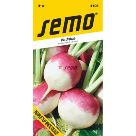 Purple Top White Globe vodnica 2g