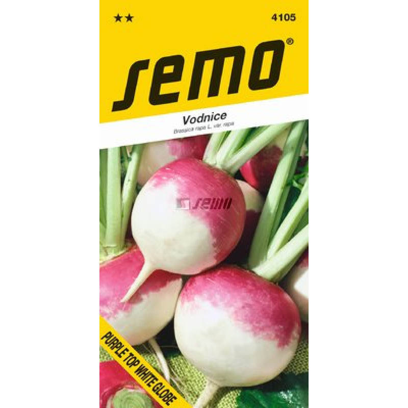 Purple Top White Globe vodnica 2g