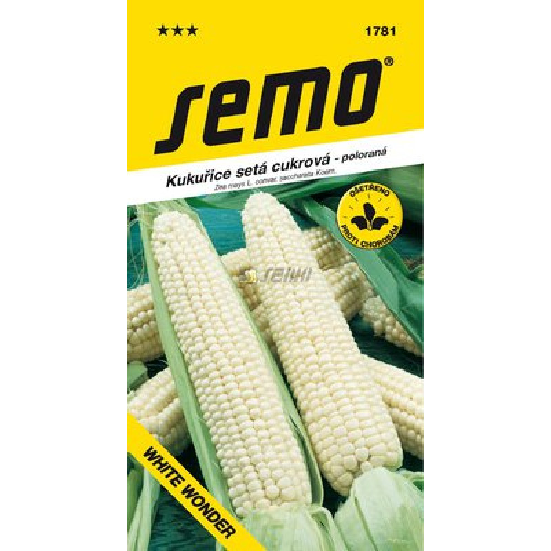 White Wonder Zea mays Kukurica cukrová 5g