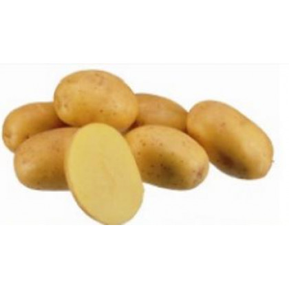 Constance sadbové zemiaky skoré tvrdé 5kg