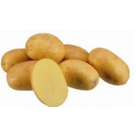 Constance sadbové zemiaky skoré tvrdé 5kg