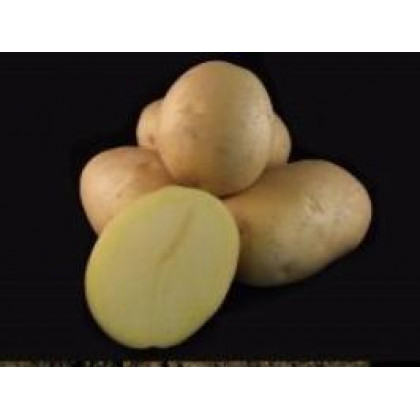 Montreal Sadbové zemiaky super skoré 5kg
