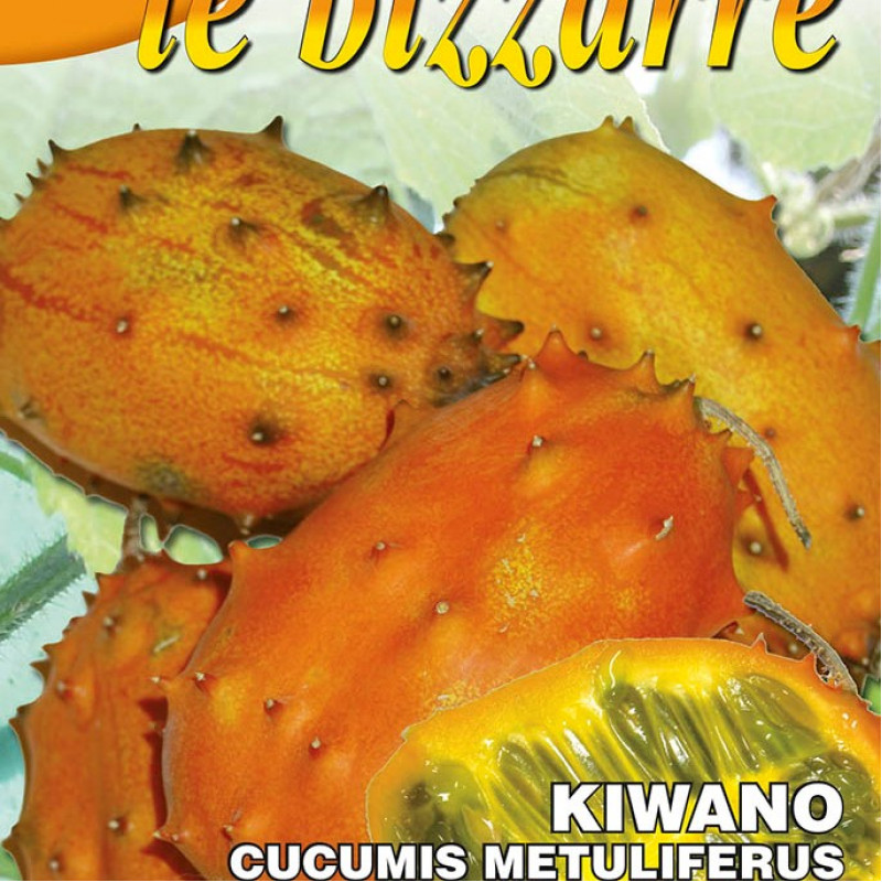 KIwano africká uhorka talianske osivo kuriozita