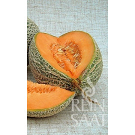 Hales best Jumbo Melón cukrový oranžový 10g