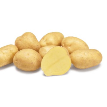 Milva odolné stredne skoré sadbové zemiaky polopevné 5 kg