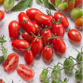 Mirado Red F1 paradajka cherry vrúbľovaná 1ks