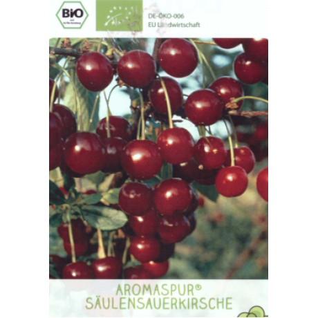 Aroma Spur Stĺpova višňa kontajner C7,5L