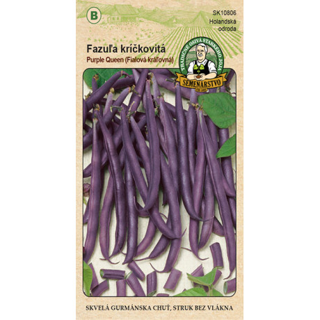 Purple Queen Fazuľa kríčková 20g