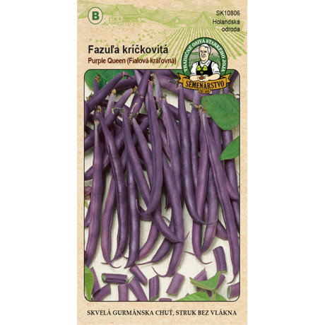 Purple Queen Fazuľa kríčková 20g