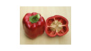 paprika Seminis semená osivá profi paprika Seminis semená osivá profi