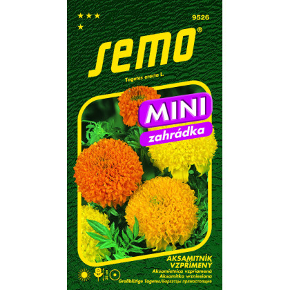 Aksamietnica vzpriamená Cupidon 0,50 g