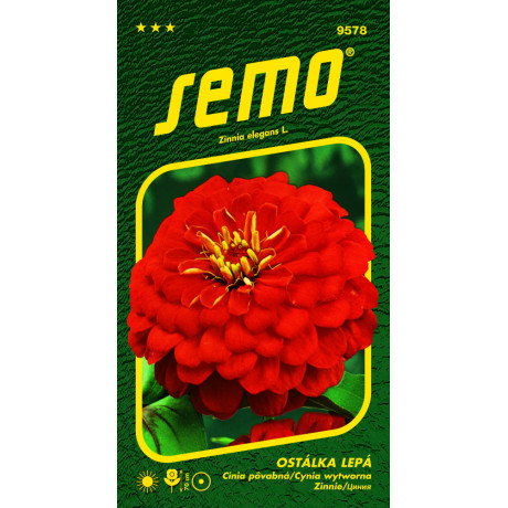 Cherry Queen Cínia 0,70 g