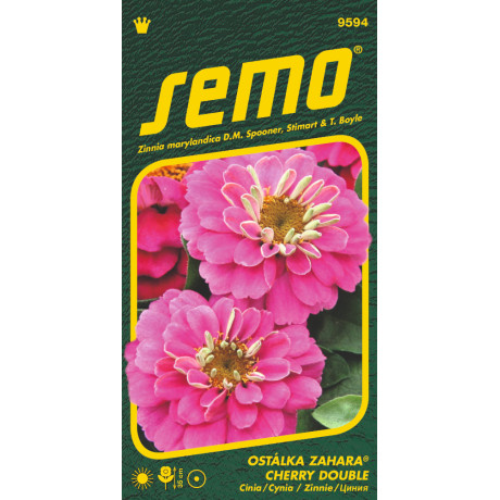Zahara Cherry Double Cínia 15 semien