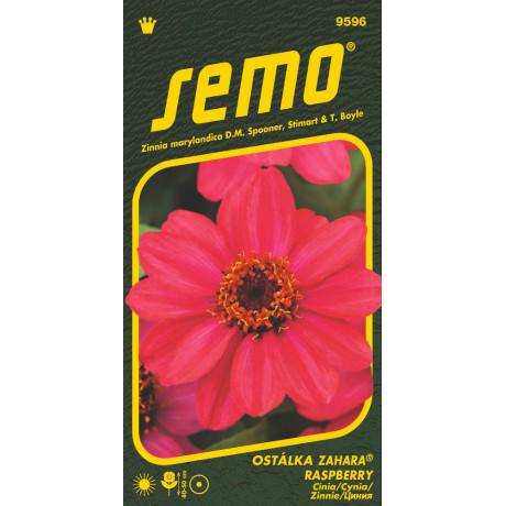 Zahara Raspberry Cínia 15 semien