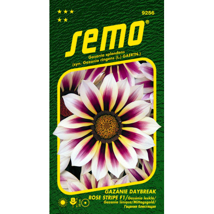 Daybreak Rose Stripe F1 gazania lesklá 15 semien