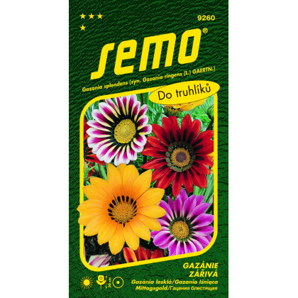 Zmes gazania lesklá 15 semien