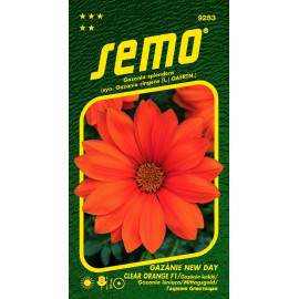 New Day Clear Orange F1 gazania lesklá 15 semien