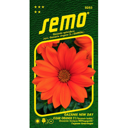 New Day Clear Orange F1 gazania lesklá 15 semien