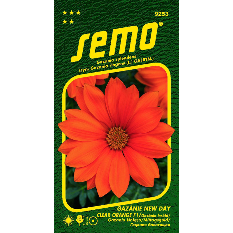 New Day Clear Orange F1 gazania lesklá 15 semien
