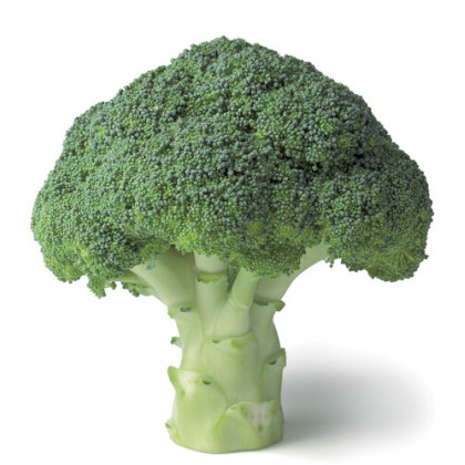 Agassi F1 Brokolica semená balenie 2500 semien