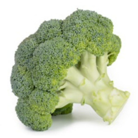 Alcaraz F1 Brokolica skorá semená balenie 2500 semien