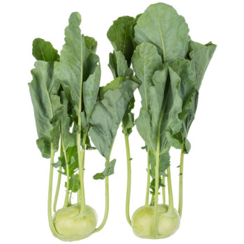 Alme F1 kaleráb nedrevnatie nepraská balenie 2500 semien