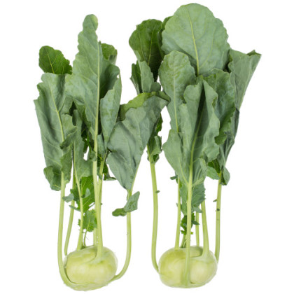 Alme F1 kaleráb nedrevnatie nepraská balenie 2500 semien