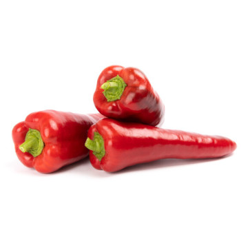 Balcanica F1 Paprika sladká červená kapia balenie 100 semien