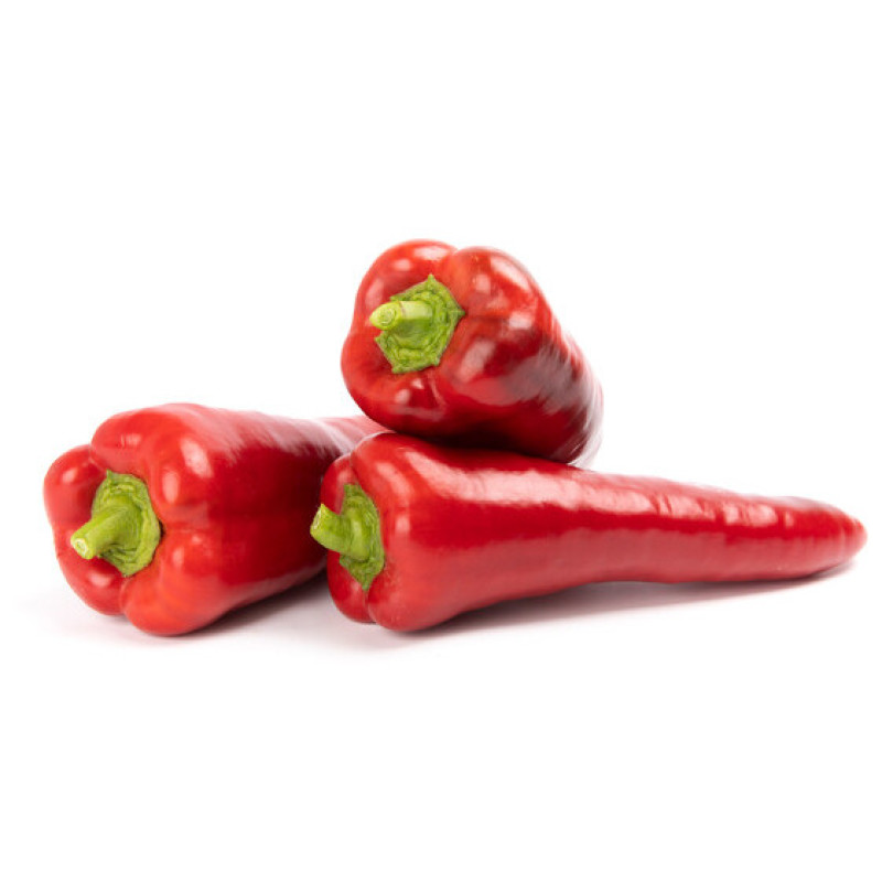 Balcanica F1 Paprika sladká červená kapia odolná stresu balenie 100 semien