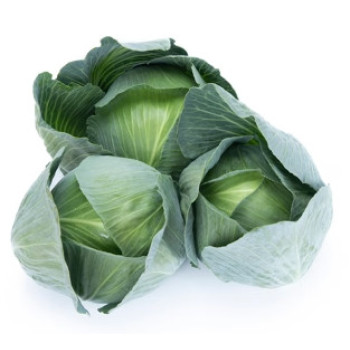 Dulcima F1 Kapusta veľmi sladká balenie 2500 semien