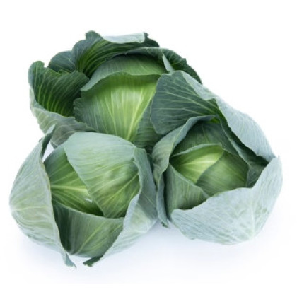 Dulcima F1 Kapusta veľmi sladká balenie 2500 semien