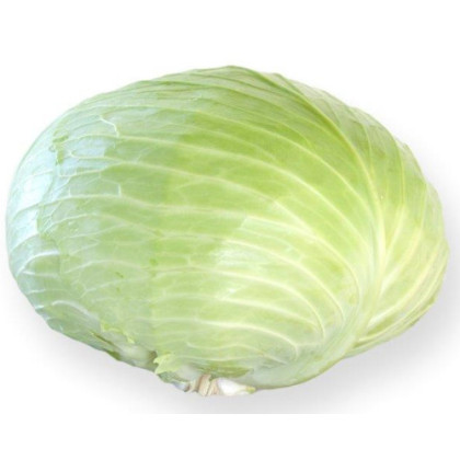 Gintama F1 Kapusta balenie 2500 semien