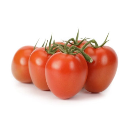 Plumola F1 rajčiak balenie 100 semien