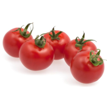 Sassari F1 rajčiak balenie 100 semien