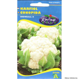 Snowball X Karfiol jarný-letný 1 g