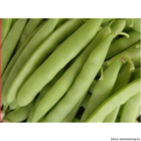 Kovácsházi gyöngy Fazuľa kríčková perlová 50 g