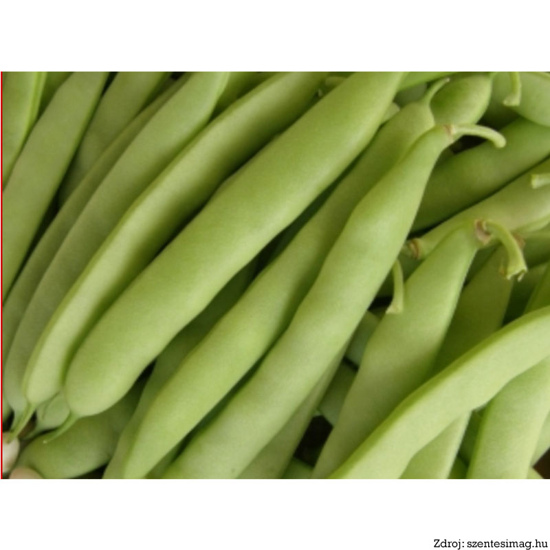 Kovácsházi gyöngy Fazuľa kríčková perlová 50 g