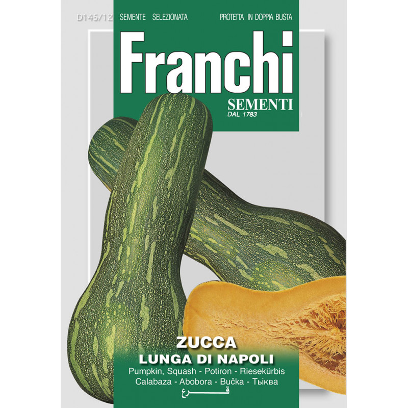 Neapol tekvica obria 4g