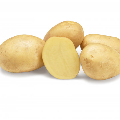 Severina sadbové zemiaky veľmi skoré 5kg