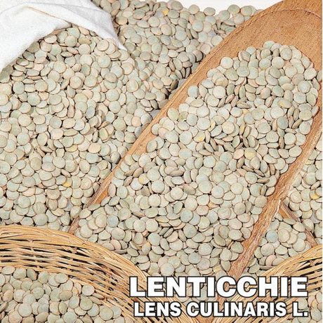 Šošovica cereália semená na kličky strukovina 100 g