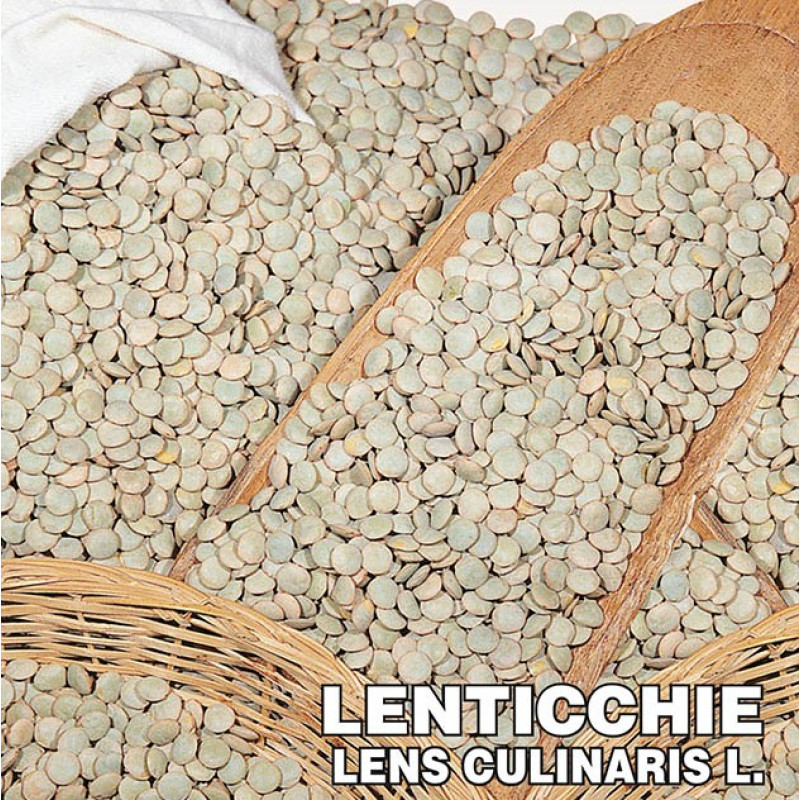 Šošovica cereália semená na kličky strukovina 100 g