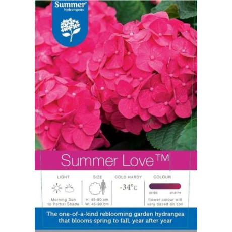 Endless Summer Love Red hydrangea hortenzia kontajner C1,5L