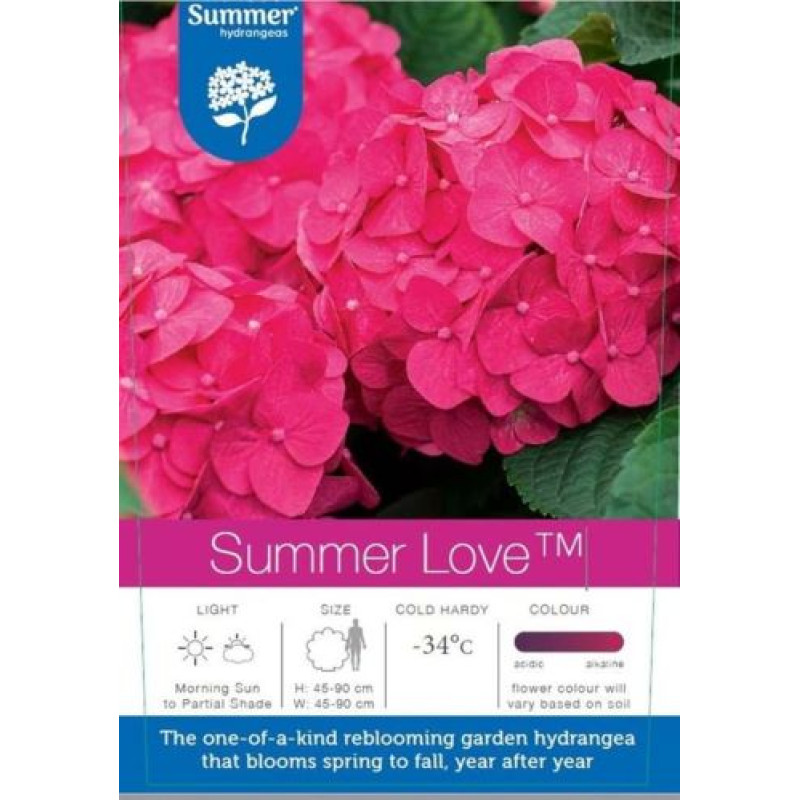 Endless Summer Love Red hydrangea hortenzia kontajner C1,5L