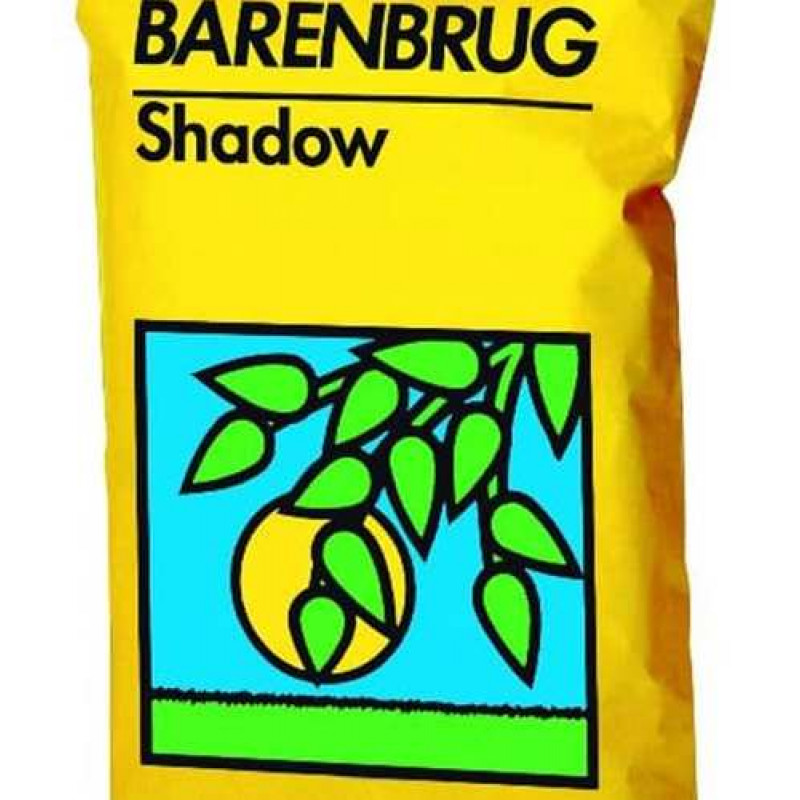 Shadow trávne osivo Barenbrug tieň slnko