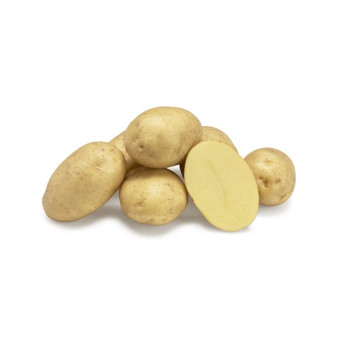 Twinner rezistentné veľmi skoré sadbové zemiaky mini hľúzy 50ks