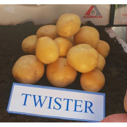 Twister rezistentné skoré sadbové zemiaky pevné 5 kg