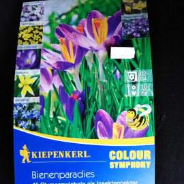 Včelí raj farebná symfónia 45 ks cibule okrasné..